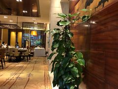 -喜来登由由大酒店九州膳坊中餐厅