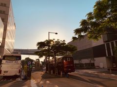 -台场海滨公园船码头