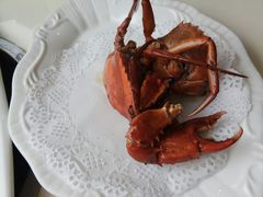 煎蟹-鑫悦楼煎蟹·16年海鲜大排档