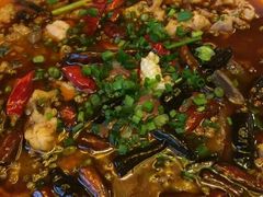 -陶然居·重庆菜(解放碑店)