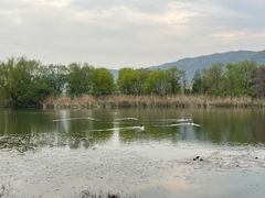 -长广溪湿地公园