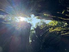 -梭布垭石林景区