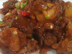 猪蹄-老边饺子馆(东单店)