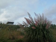 -三岔湖景区