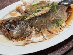 -永红源啤酒·烧烤·海鲜·大排档(台柳路店)