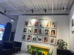 -大连棒棒糖儿童摄影(熊洞街店)