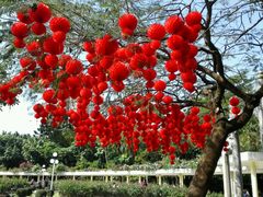 -人民公园(罗湖区)