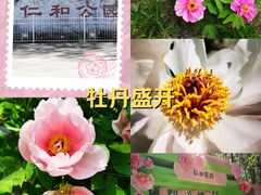-仁和公园(顺义区)