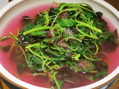 -丹江渔村(望京店)