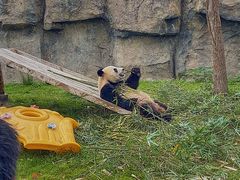 -上海野生动物园