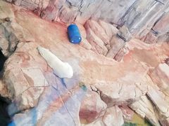 -西安曲江海洋极地公园
