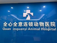 -全心全意连锁动物医院·微创中心·内科急重症·心脏专科(丰管路店)