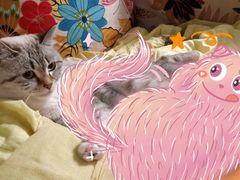 -绿茶餐厅(崇文门新世界店)