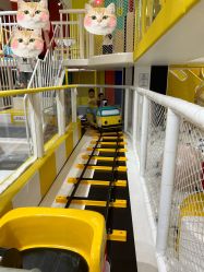 -泛尼尼儿童乐园(文化广场店)