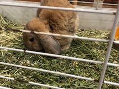 -上海苏航生活广场