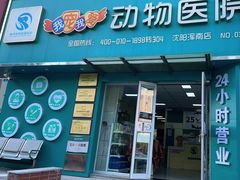 -瑞派宠物医院·24h·骨外科·皮肤科·全科宠物医疗转诊中心(沈阳浑南院)