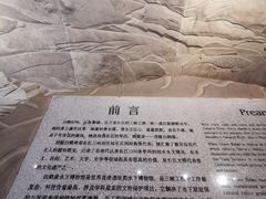-白鹤梁水下博物馆