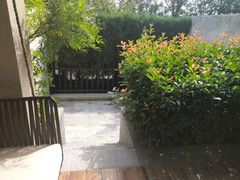 -上海崇明金茂凯悦酒店