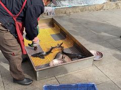 -京北渔家傲