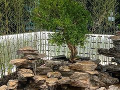 -观宴·品质赣菜(高新大道店)