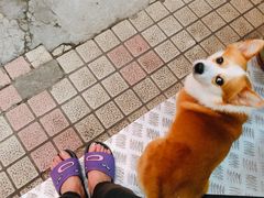 -小梁哥云吞面(黄贝岭店)