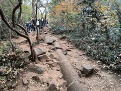 -大蜀山国家森林公园