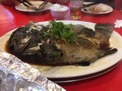 -大树下海鲜饭店