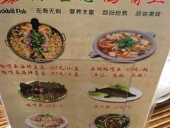 -鸭嘴鱼