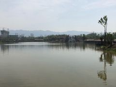 -枫香湖儿童公园