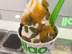-Salud撒露欧洲冻酸奶(蓝色港湾店)