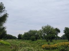 -汉长安城未央宫国家考古遗址公园