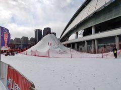 -沈阳奥体冰雪嘉年华