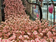 -洋洋广场(南街店)