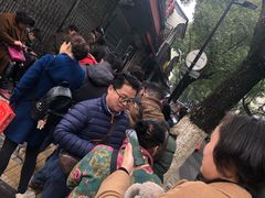 -杨招娣糕点(装驾桥巷店)