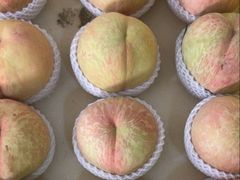 -老袁家蜜桃农场·阳山水蜜桃