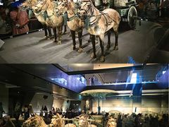-秦始皇帝陵博物院-丽山园