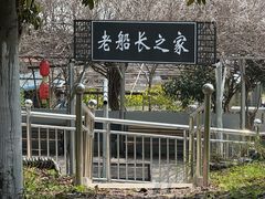 -巢湖姥山岛