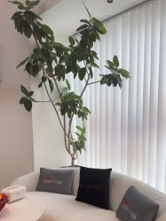 -WENDY·温迪皮肤管理