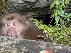 -九峰山