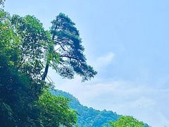 -东天目山风景区