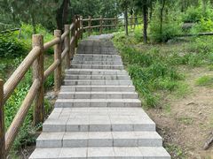-白水寺森林公园