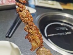 红柳羊肉大串-蓉客成都火锅·招牌麻辣牛杂·特色香辣蹄花(凌水店)