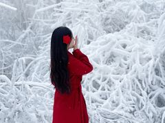 -嘉陵江源头景区