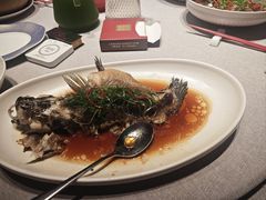 -拾宴(汇智国际商业中心店)