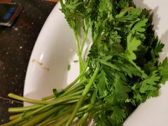 茼蒿-南门涮肉(上海二店)