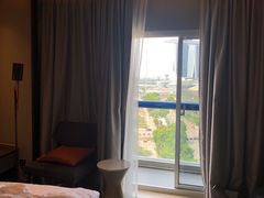 -新加坡瑞士史丹福酒店