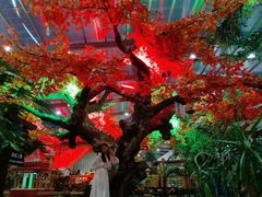 -老山东·山东菜(鲁菜名店)