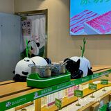 济宁首店📍贼便宜小火锅！一人实现火锅自由