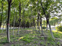 -渭河城市绿地运动公园