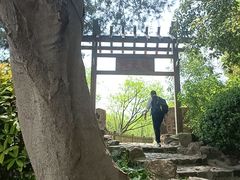 -无锡蠡湖国家湿地公园-蠡园